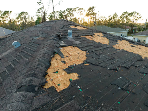 Best Steel Roofing  in Saratoga Springs, UT